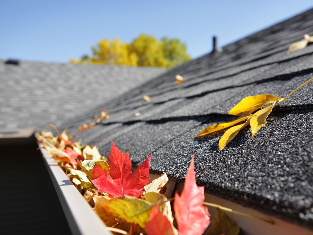 Cleaning your gutters is an important home maintenance task. Check out these tips about how To clean the gutters on your home without a ladder.