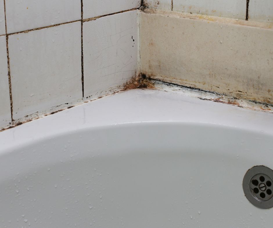 Do you want to know how to remove mold in your tile grout? Check out these tips about the best ways to clean tile, prevent mold growth and keep your bathroom healthy and clean.