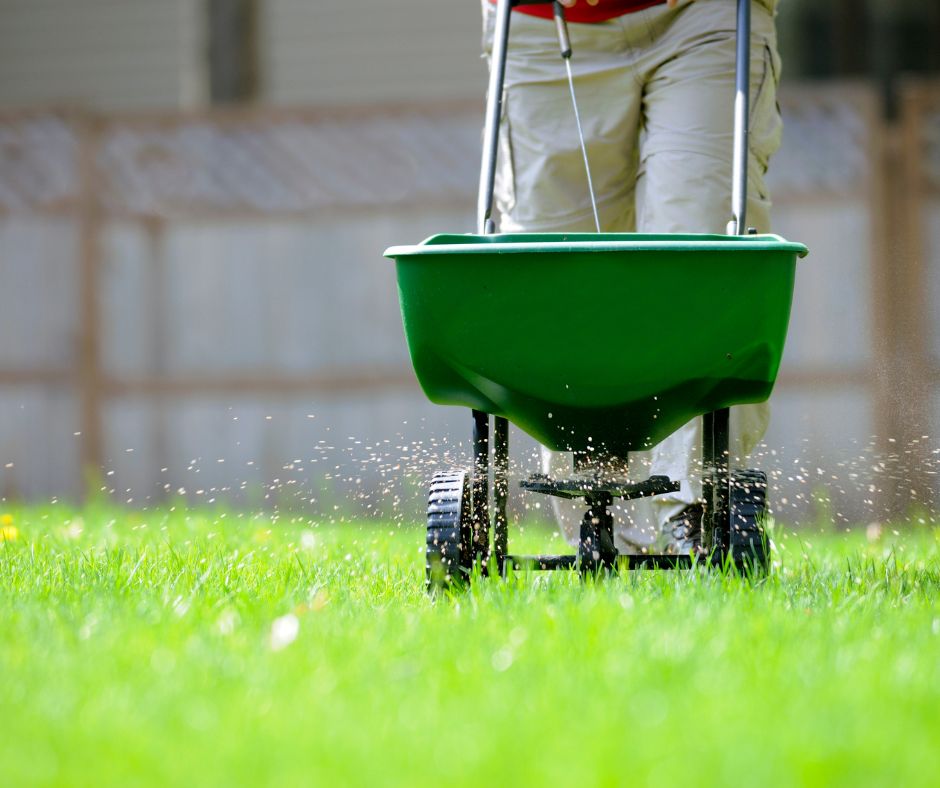 Are you wondering when is the best time to fertilize your lawn? Check out this seasonal guide to help you have the best lawn!