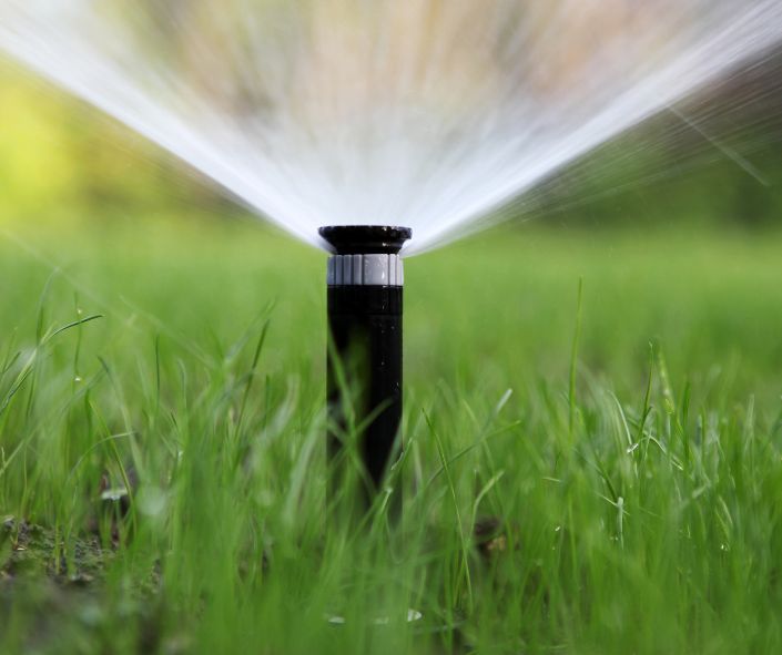 Spring lawn seeding is an excellent opportunity to transform your outdoor space into a beautiful green area.