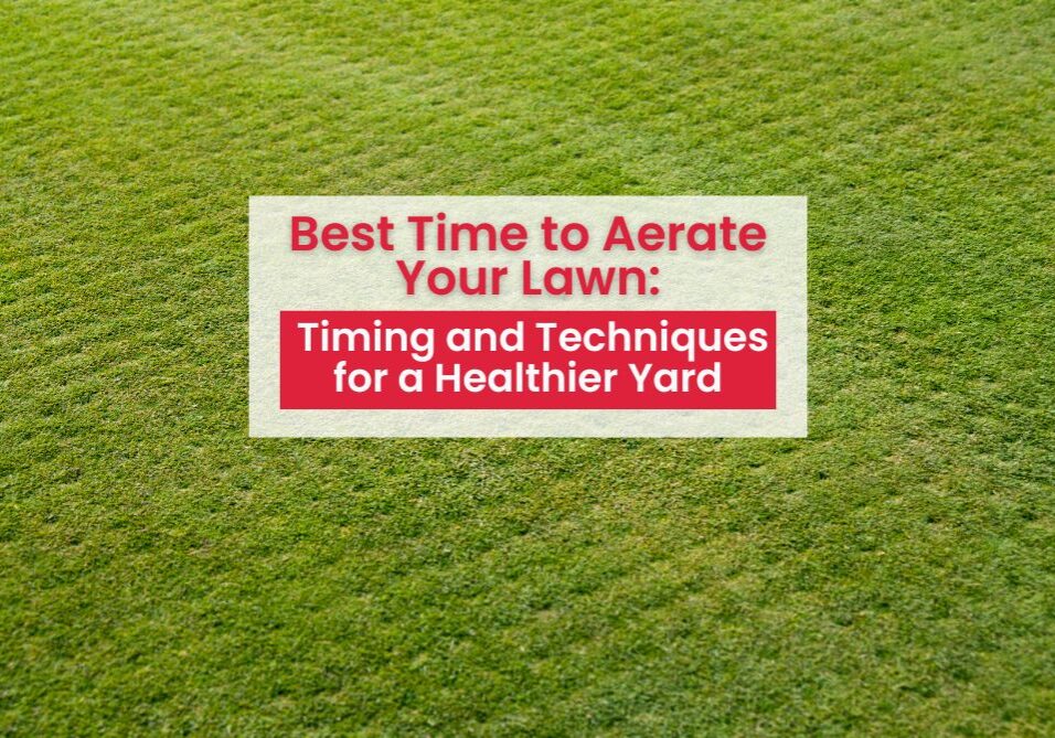 When you Aerate Your Lawn at the right time of year it will help you grow a beautiful lawn. Check out these tips!