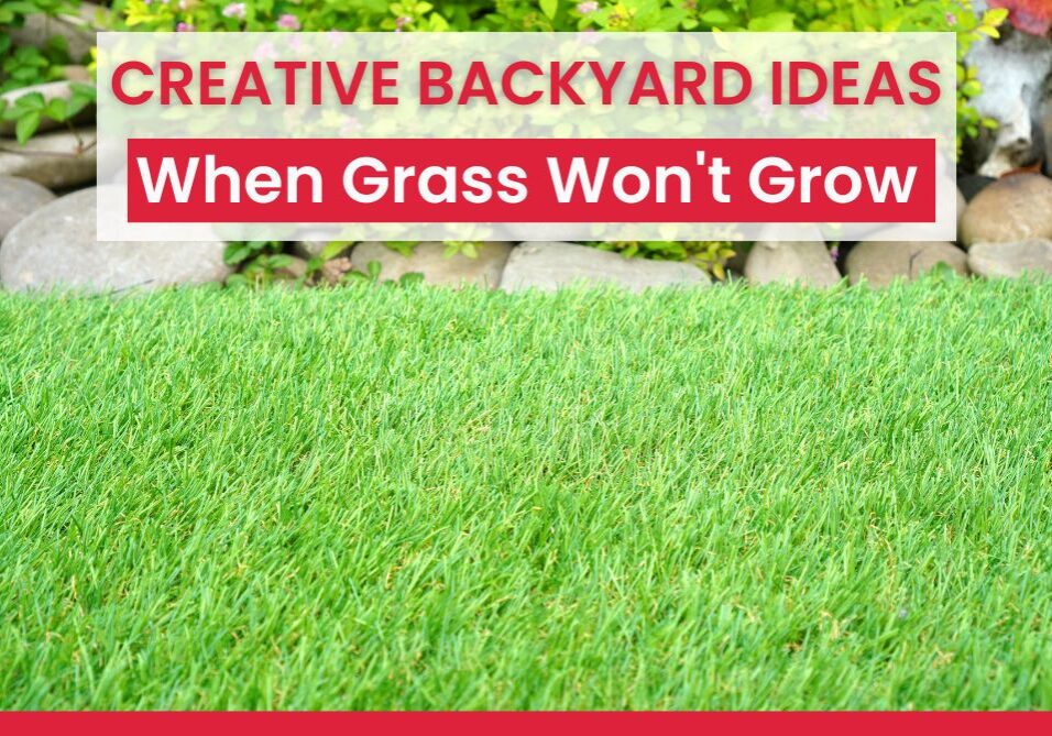 Creative Backyard Ideas