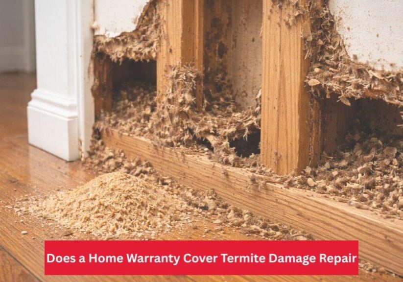 Does a Home Warranty Cover Termite Damage Repair