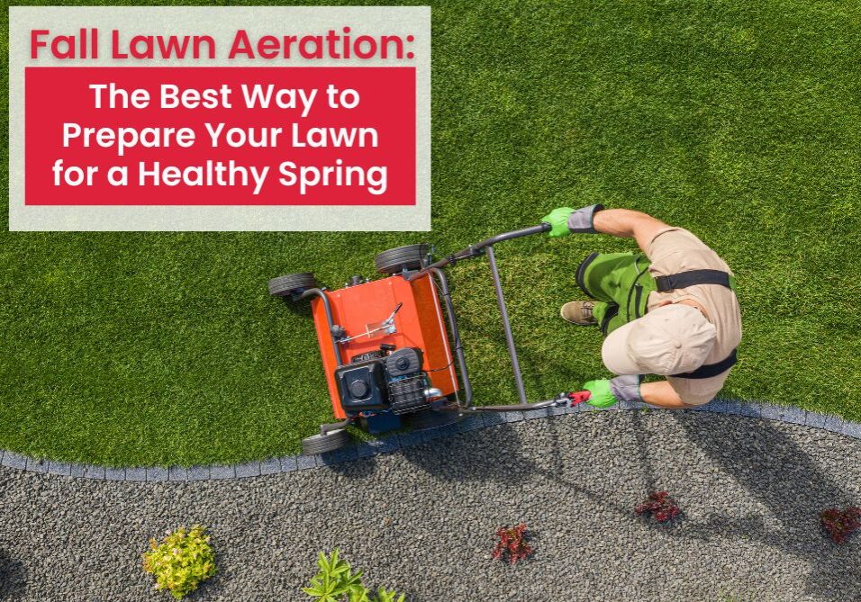 Lawn aeration is a great way to boost the health of your lawn and set it up for success in the months ahead.