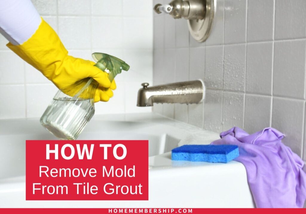 Do you want to know How to Remove Mold From Tile Grout? Check out these tips about the best ways to clean tile, prevent mold growth and keep your bathroom healthy and clean.