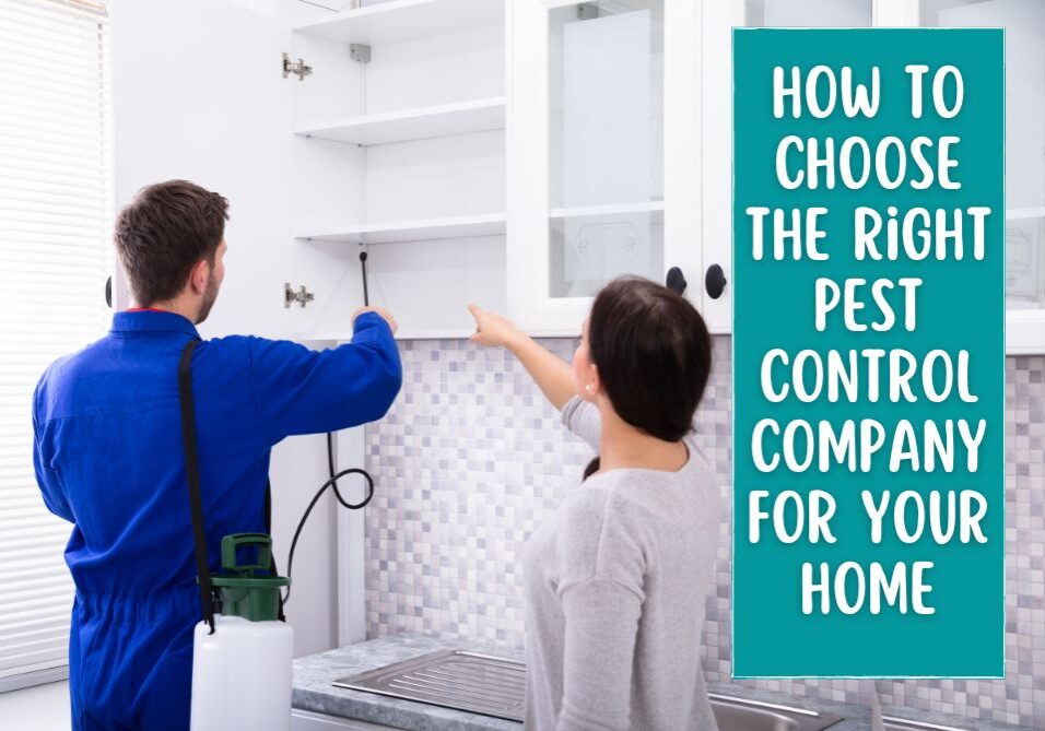 How to Choose the Right Pest Control Company for Your Home