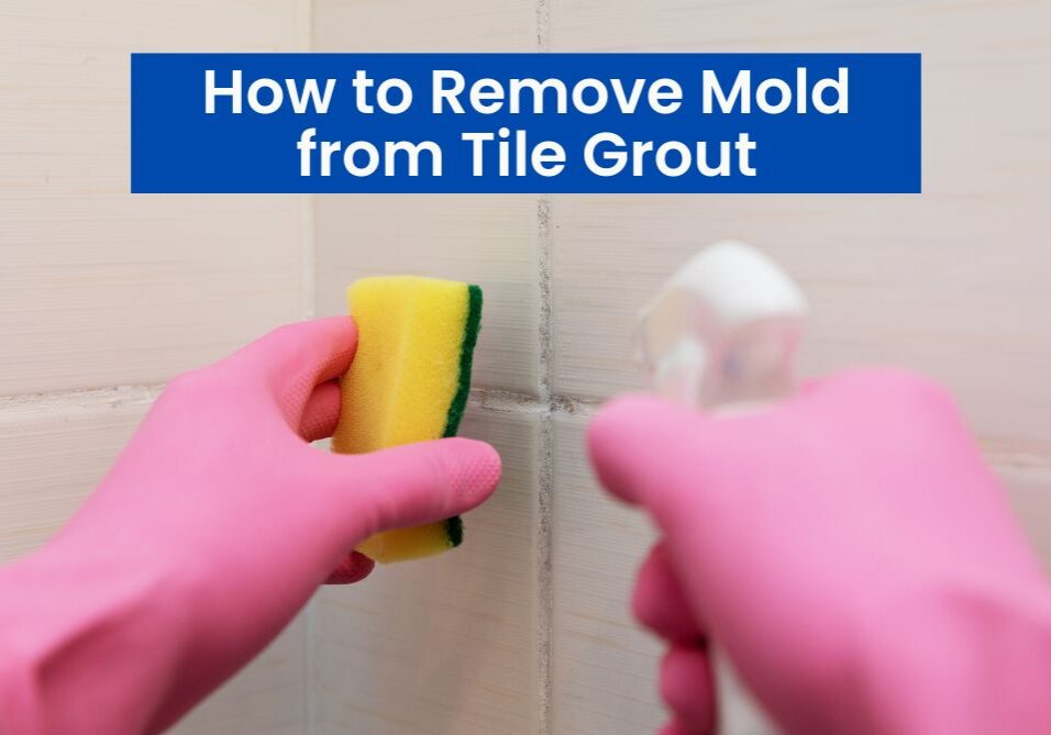 If you need to remove mold from grout. It can be a tough job but check out these tips to clean it and keep it from coming back.