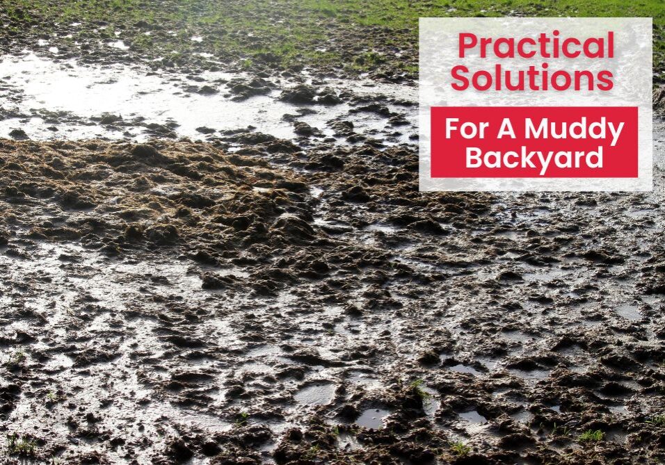 Whether you're dealing with a muddy yard, there are plenty of practical solutions to restore your outdoor space.