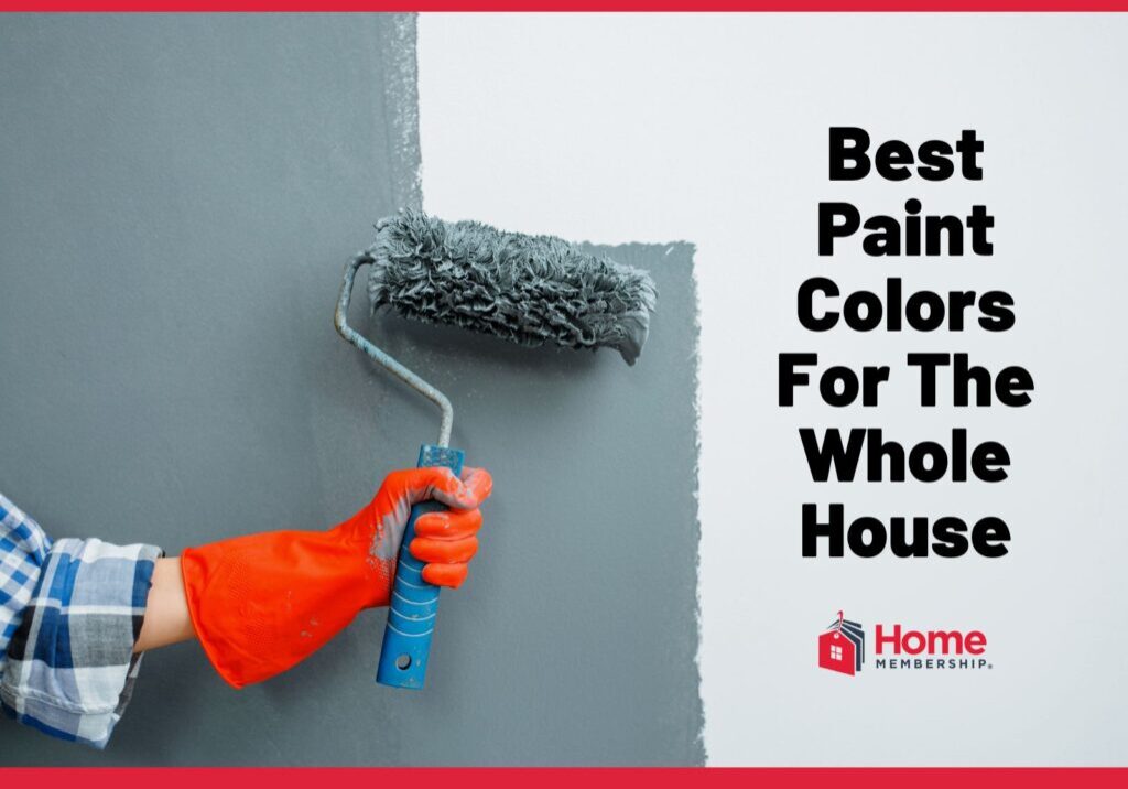 Discover the best paint colors for your whole house in this ultimate guide. Create a harmonious and stylish home with our recommendations.