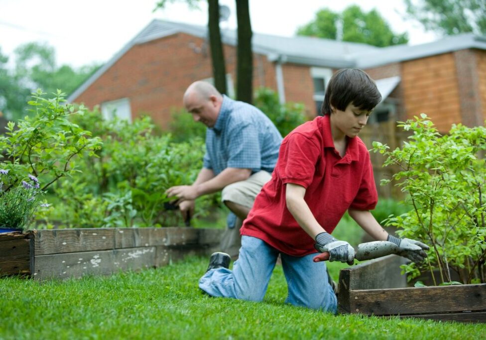 father and son maintaining garden